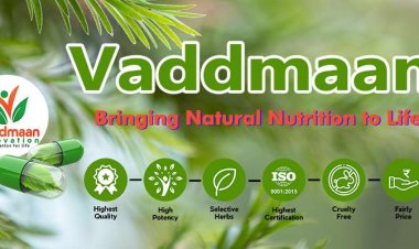 Vaddmaan Innovation: A Natural Nutrition-focused Healthtech company revolutionising the worldwide Wellness industry