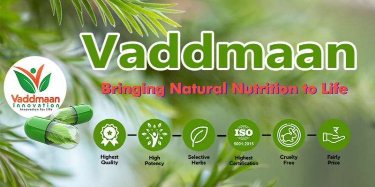 Vaddmaan Innovation: A Natural Nutrition-focused Healthtech company revolutionising the worldwide Wellness industry