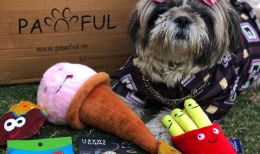 Are you a dog owner looking for quirky gifts for your friend?