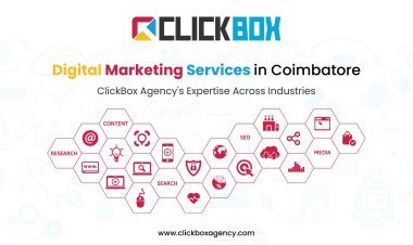 Digital Marketing Services in Coimbatore: ClickBox Agency's Expertise Across Industries