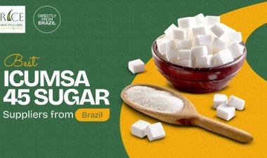ICUMSA 45 Sugar Exporters from Brazil: Rice Master Global